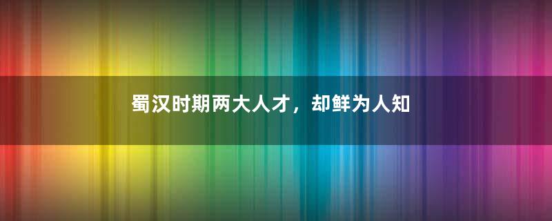 蜀汉时期两大人才，却鲜为人知