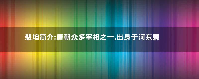 裴垍简介:唐朝众多宰相之一,出身于河东裴氏东眷裴