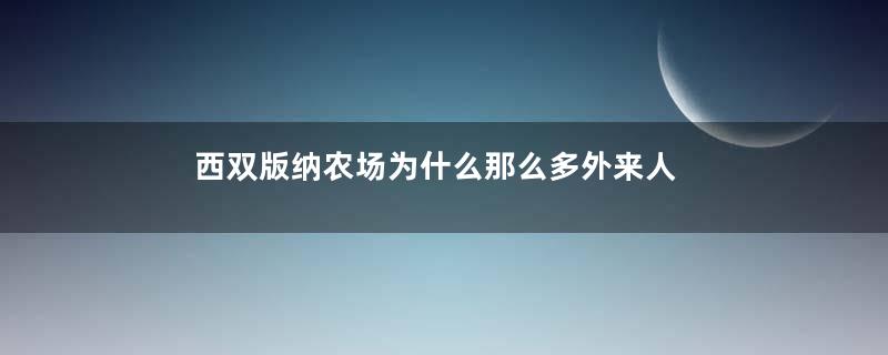 西双版纳农场为什么那么多外来人