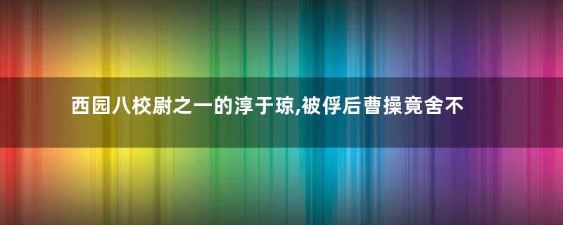 西园八校尉之一的淳于琼,被俘后曹操竟舍不得杀他