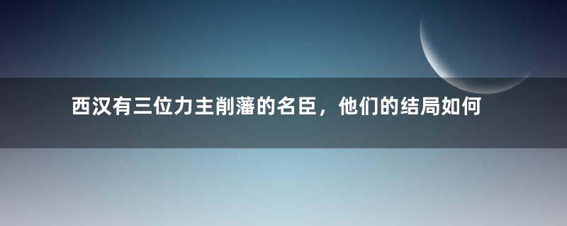 西汉有三位力主削藩的名臣，他们的结局如何呢？