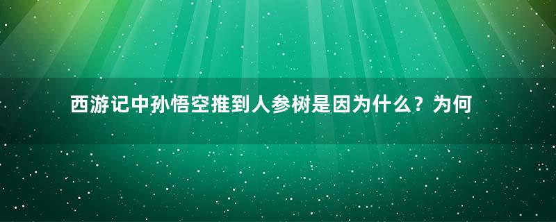 西游记中孙悟空推到人参树是因为什么？为何这么做？