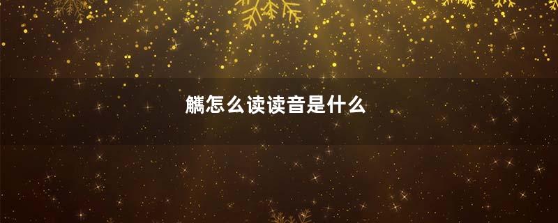 觽怎么读读音是什么