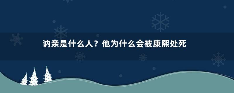 讷亲是什么人？他为什么会被康熙处死