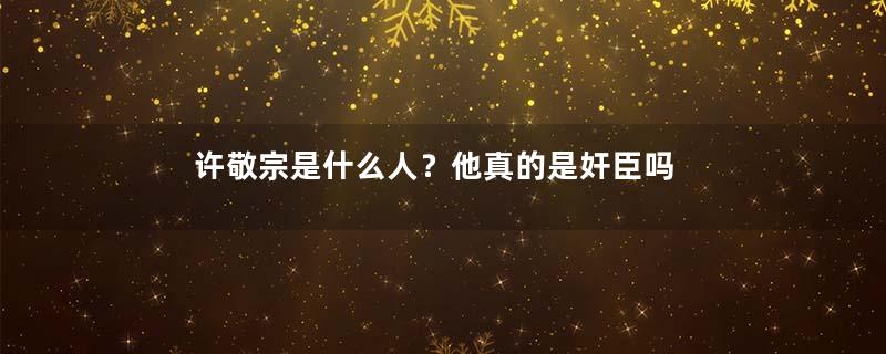 许敬宗是什么人？他真的是奸臣吗