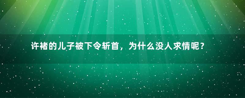 许褚的儿子被下令斩首，为什么没人求情呢？