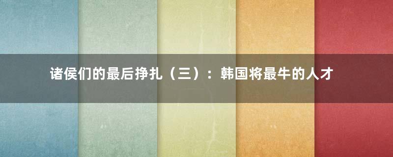 诸侯们的最后挣扎（三）：韩国将最牛的人才拿去堵了秦人的枪眼