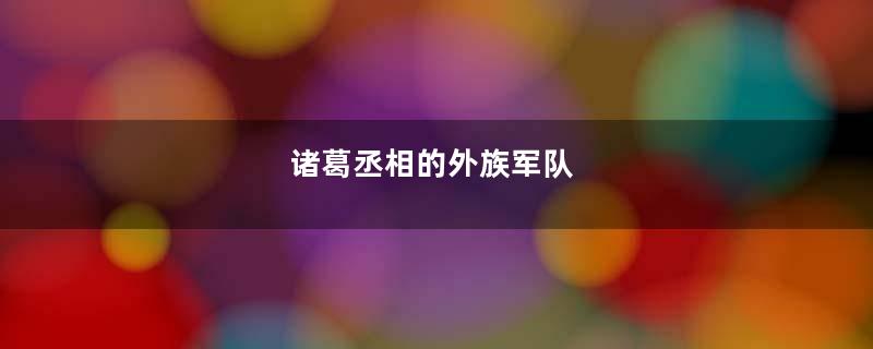 诸葛丞相的外族军队