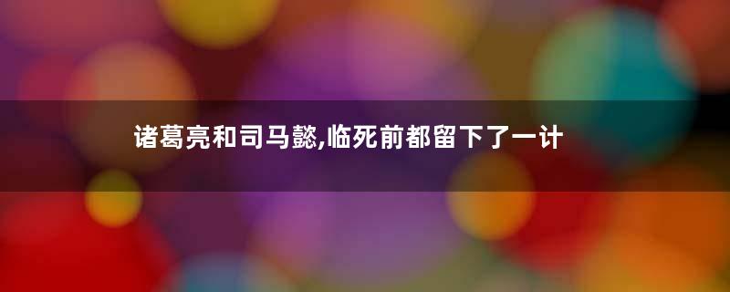 诸葛亮和司马懿,临死前都留下了一计