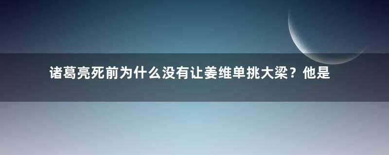 诸葛亮死前为什么没有让姜维单挑大梁？他是害怕吗