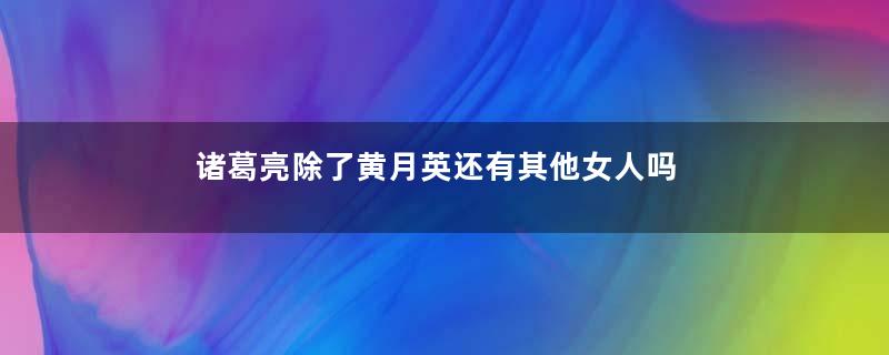诸葛亮除了黄月英还有其他女人吗