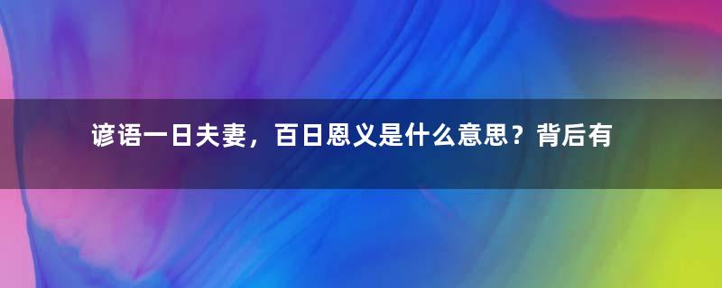 谚语一日夫妻，百日恩义是什么意思？背后有何故事？