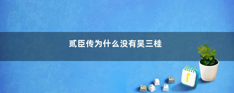 贰臣传为什么没有吴三桂