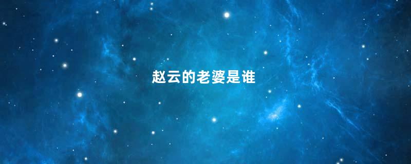 赵云的老婆是谁