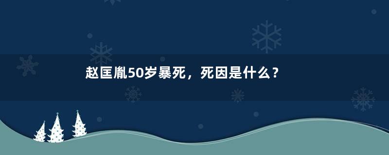 赵匡胤50岁暴死，死因是什么？