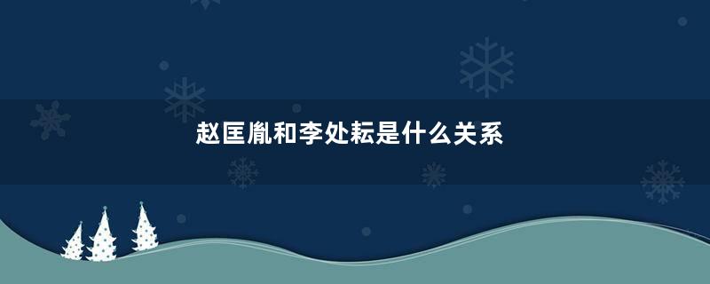 赵匡胤和李处耘是什么关系