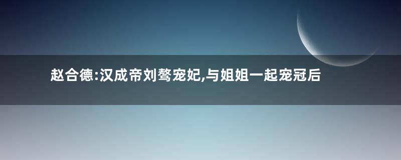 赵合德:汉成帝刘骜宠妃,与姐姐一起宠冠后宫十余年