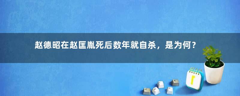 赵德昭在赵匡胤死后数年就自杀，是为何？