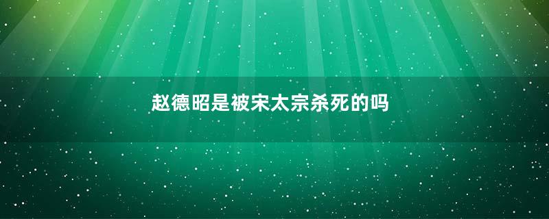 赵德昭是被宋太宗杀死的吗