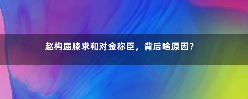 赵构屈膝求和对金称臣，背后啥原因？