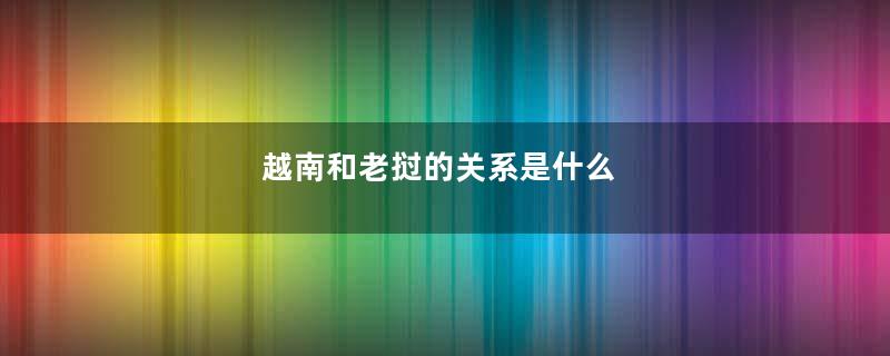 越南和老挝的关系是什么