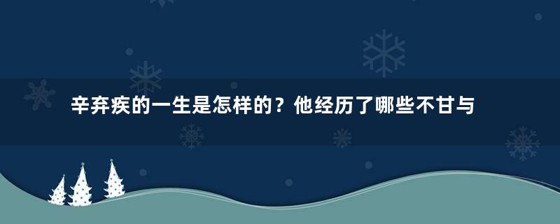 辛弃疾的一生是怎样的？他经历了哪些不甘与愤懑？