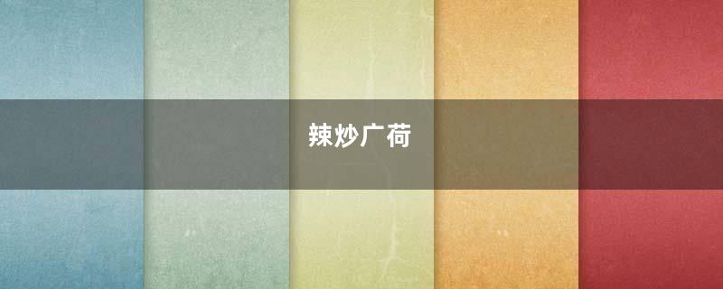 辣炒广荷