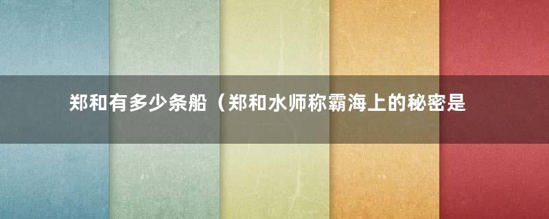 郑和有多少条船（郑和水师称霸海上的秘密是第几集）