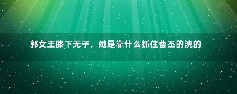 郭女王膝下无子，她是靠什么抓住曹丕的洗的