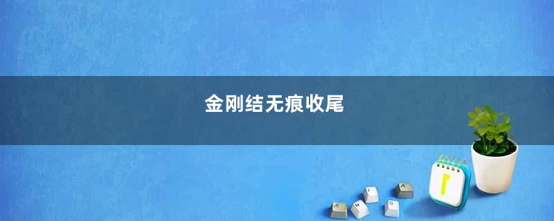 金刚结无痕收尾