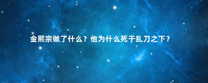 金熙宗做了什么？他为什么死于乱刀之下？