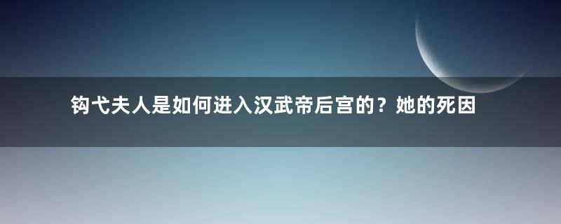 钩弋夫人是如何进入汉武帝后宫的？她的死因是什么？