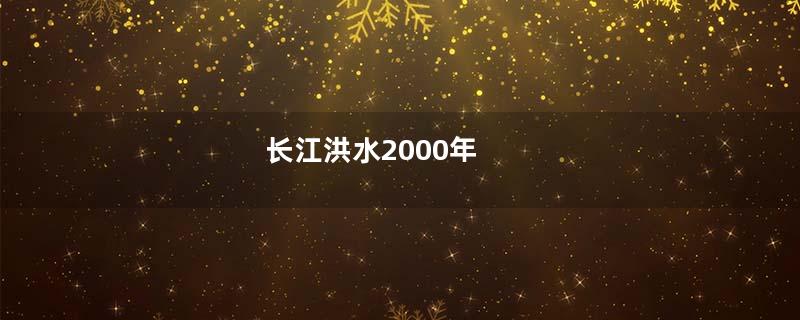 长江洪水2000年