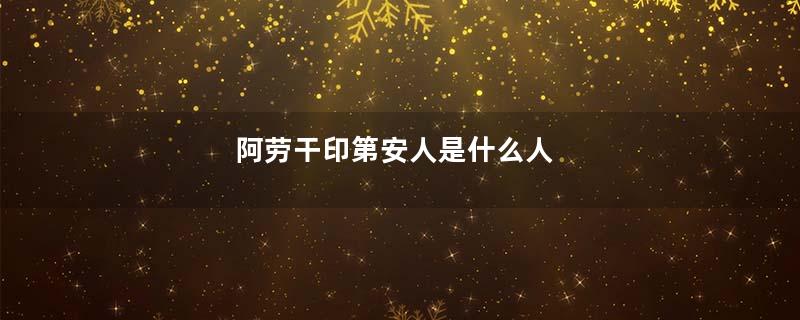 阿劳干印第安人是什么人