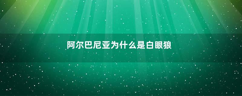 阿尔巴尼亚为什么是白眼狼