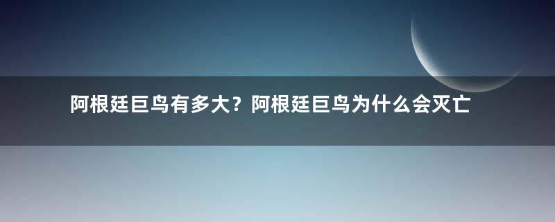 阿根廷巨鸟有多大？阿根廷巨鸟为什么会灭亡？