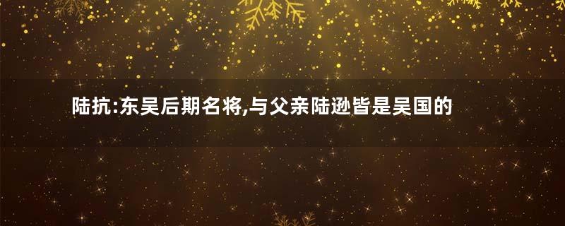 陆抗:东吴后期名将,与父亲陆逊皆是吴国的中流砥柱