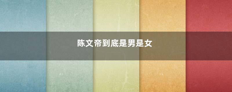 陈文帝到底是男是女