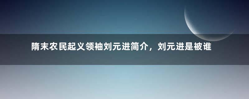 隋末农民起义领袖刘元进简介，刘元进是被谁所杀害的？