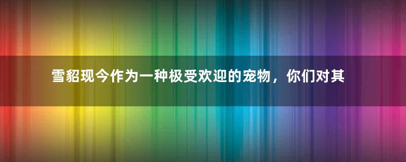 雪貂现今作为一种极受欢迎的宠物，你们对其了解多少？