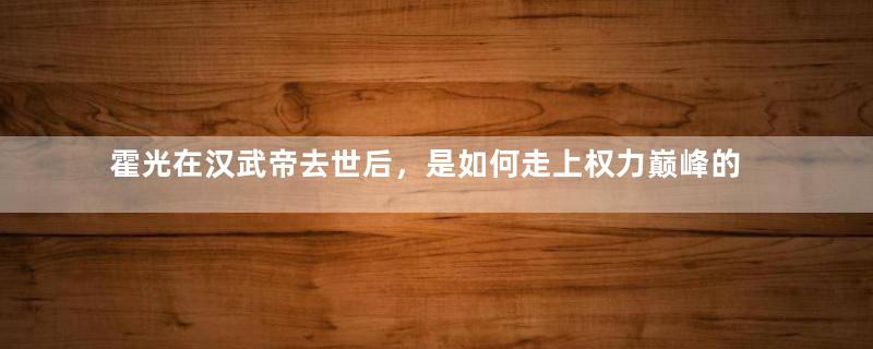 霍光在汉武帝去世后，是如何走上权力巅峰的呢？