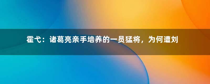 霍弋：诸葛亮亲手培养的一员猛将，为何遭刘禅排挤？