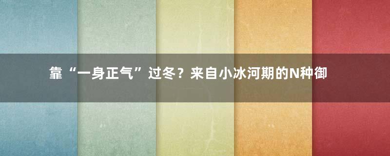 靠“一身正气”过冬？来自小冰河期的N种御寒方式