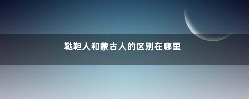 鞑靼人和蒙古人的区别在哪里
