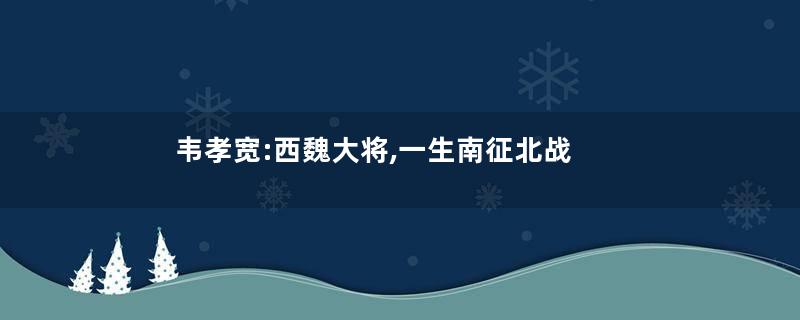 韦孝宽:西魏大将,一生南征北战