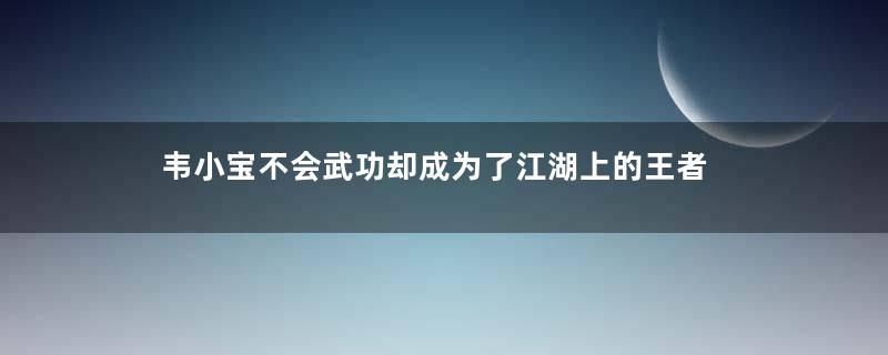 韦小宝不会武功却成为了江湖上的王者