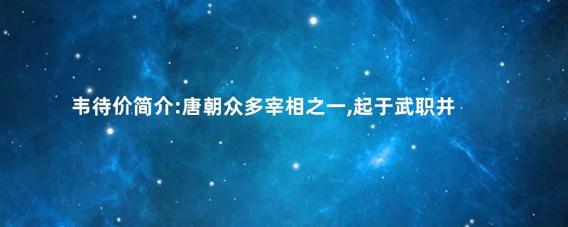 韦待价简介:唐朝众多宰相之一,起于武职并立有战功