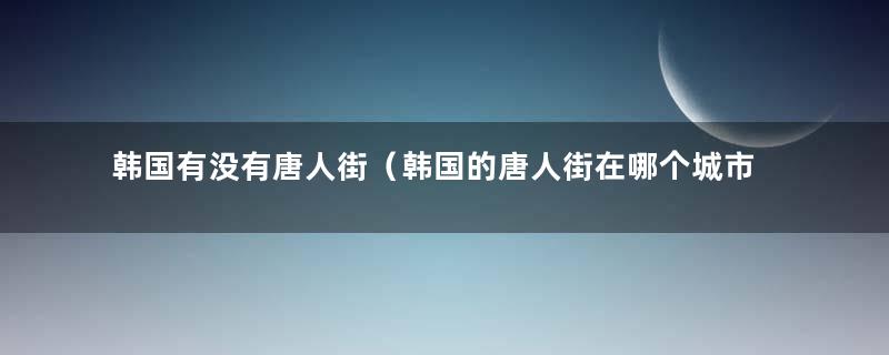 韩国有没有唐人街（韩国的唐人街在哪个城市）