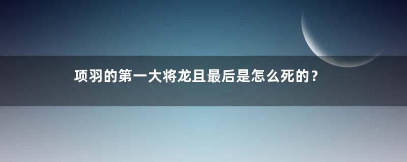 项羽的第一大将龙且最后是怎么死的？