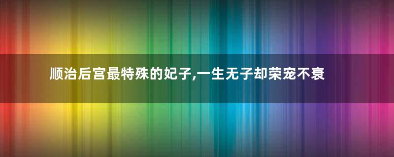 顺治后宫最特殊的妃子,一生无子却荣宠不衰